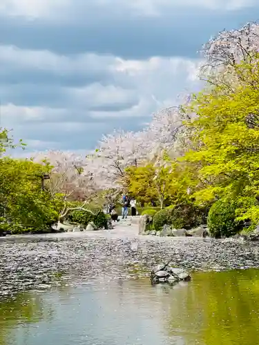 東寺（教王護国寺）(京都府)
