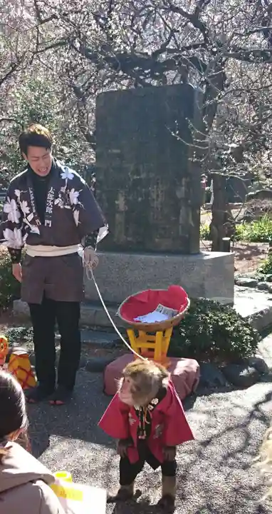 湯島天満宮の動物