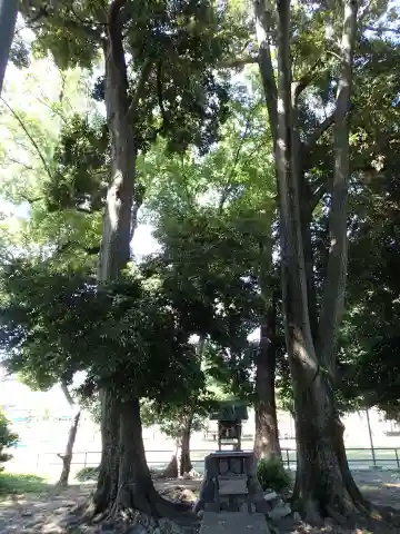 田中天神跡(稲木神社跡)の本殿・本堂