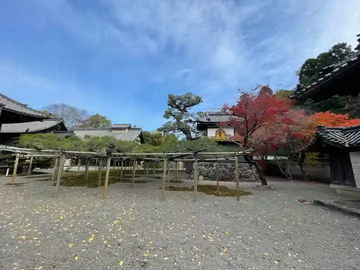 本誓寺(東本誓寺)(滋賀県)