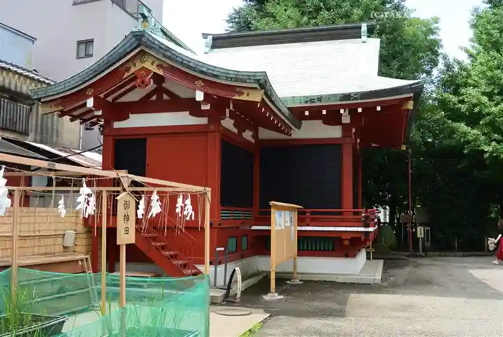浅草神社の本殿・本堂