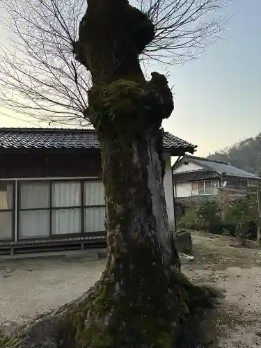 海潮神社の{uncategorized: "未分類", other: "その他", undefined: "問題あり", building: "その他建物", grave: "お墓", sacred_gate: "鳥居", guardian: "狛犬", statue: "像", buddha: "仏像", history: "歴史", nature: "自然", garden: "庭園", animal: "動物", pagoda: "塔", temizu: "手水舎", mountain_gate: "山門・神門", sanctuary: "本殿・本堂", subordinate: "末社・摂社", art: "芸術", scenery: "景色", jizo: "地蔵", ema: "絵馬", goshuin: "御朱印", omikuji: "おみくじ", items: "授与品その他", amulet: "お守り", goshuincho: "御朱印帳", eats: "食事", festival: "お祭り", votive_dance: "神楽", shichigosan: "七五三参", wedding: "結婚式", experience: "体験その他", initially: "初詣", around: "周辺", anti_infection: "感染症対策"}