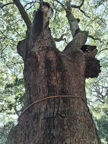 生田神社(兵庫県)