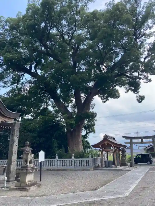 三皇神社の自然