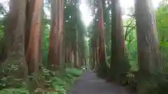 戸隠神社九頭龍社(長野県)