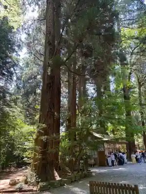 高千穂神社(宮崎県)