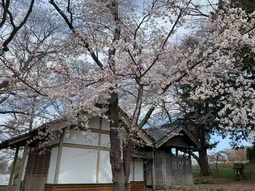 諏訪神社の自然