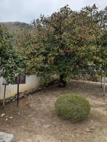 圀勝寺(岡山県)