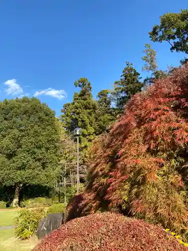 天台宗　長窪山　正覚寺の庭園