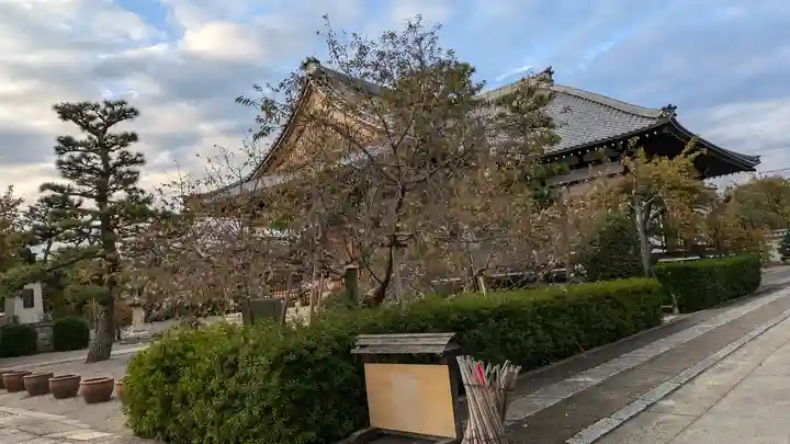 妙蓮寺(京都府)