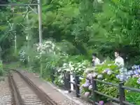 御霊神社の周辺