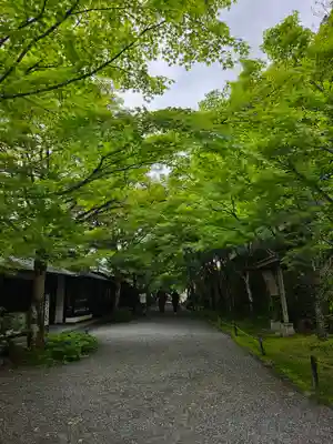 三千院門跡(京都府)