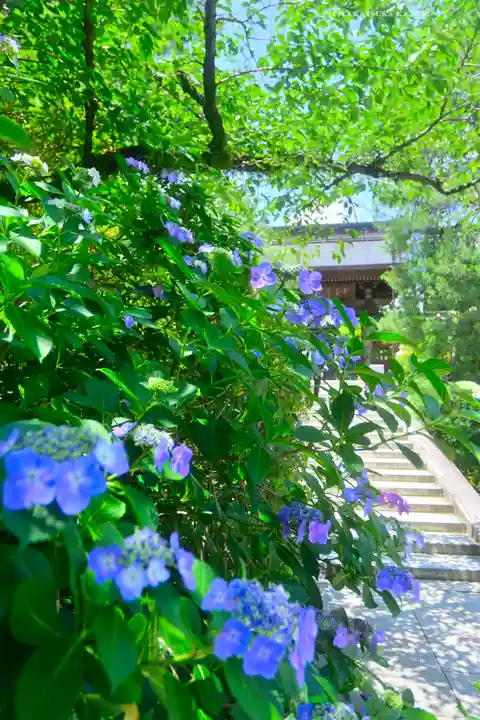 高幡不動尊 金剛寺(東京都)