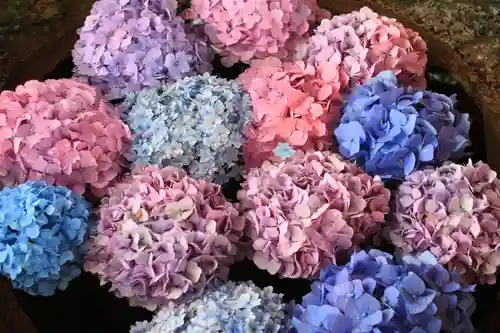 伊勢山皇大神宮の手水舎