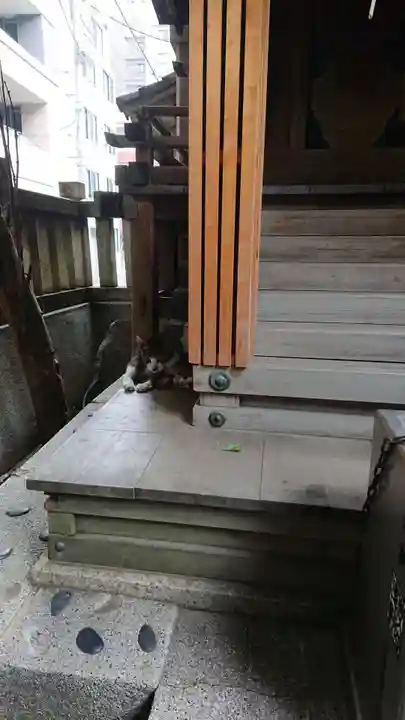 小野照崎神社の動物