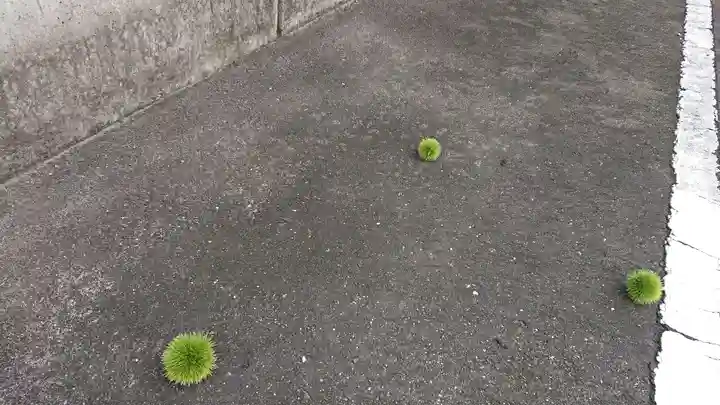 尾張猿田彦神社の自然