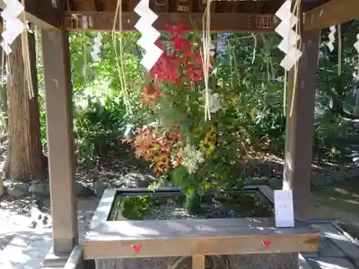 赤坂氷川神社の手水舎