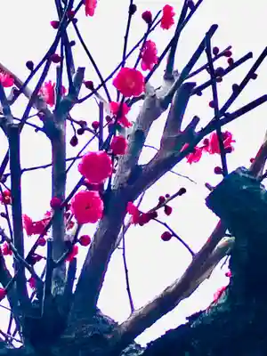 女化神社(茨城県)