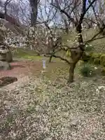 岩津天満宮(愛知県)