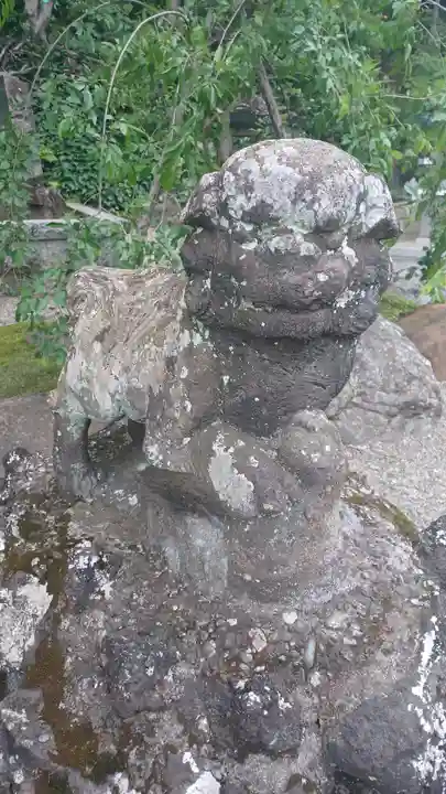 貫井神社の狛犬