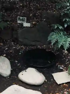 明治神宮(東京都)