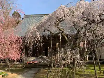 西雲寺の本殿・本堂