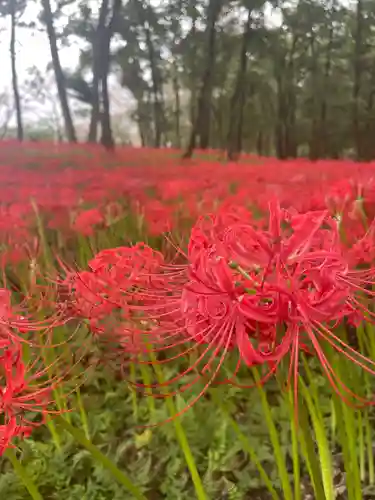 高麗神社(埼玉県)