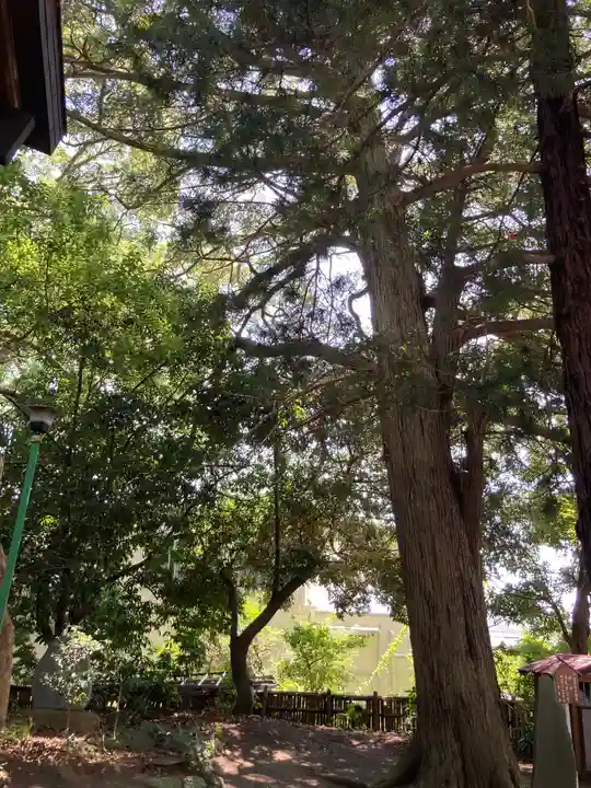 日枝神社(神奈川県)