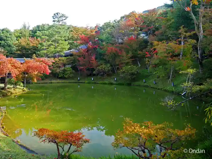 高台寺(高台寿聖禅寺・高臺寺)(京都府)