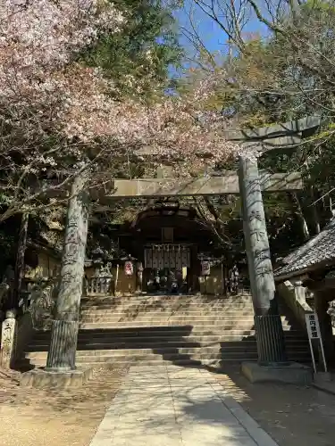 金刀比羅宮の{uncategorized: "未分類", other: "その他", undefined: "問題あり", building: "その他建物", grave: "お墓", sacred_gate: "鳥居", guardian: "狛犬", statue: "像", buddha: "仏像", history: "歴史", nature: "自然", garden: "庭園", animal: "動物", pagoda: "塔", temizu: "手水舎", mountain_gate: "山門・神門", sanctuary: "本殿・本堂", subordinate: "末社・摂社", art: "芸術", scenery: "景色", jizo: "地蔵", ema: "絵馬", goshuin: "御朱印", omikuji: "おみくじ", items: "授与品その他", amulet: "お守り", goshuincho: "御朱印帳", eats: "食事", festival: "お祭り", votive_dance: "神楽", shichigosan: "七五三参", wedding: "結婚式", experience: "体験その他", initially: "初詣", around: "周辺", anti_infection: "感染症対策"}