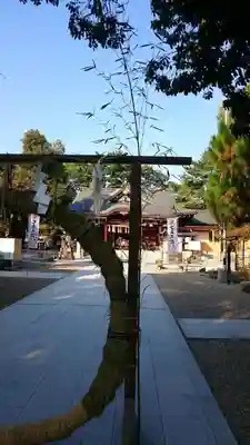 辛國神社の七五三参