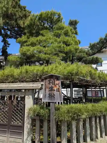 高砂神社(兵庫県)