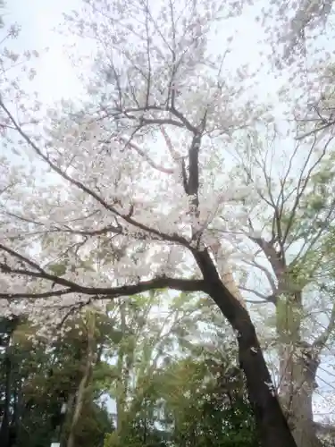 寒川神社の自然