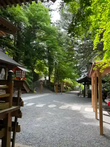 新倉富士浅間神社(山梨県)