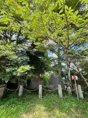 武蔵御嶽神社(東京都)