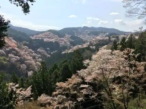 吉水神社の景色