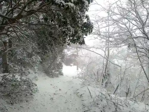 七面山奥之院の自然