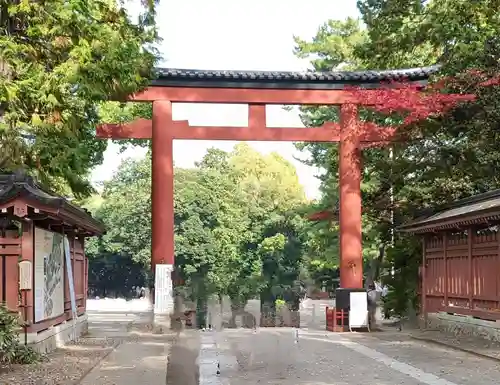 武蔵一宮氷川神社の鳥居