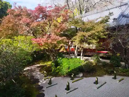 光明寺（粟生光明寺）(京都府)