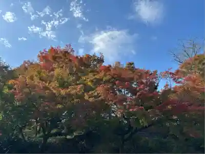 平等院(京都府)