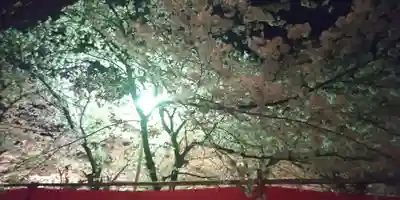 平野神社(京都府)