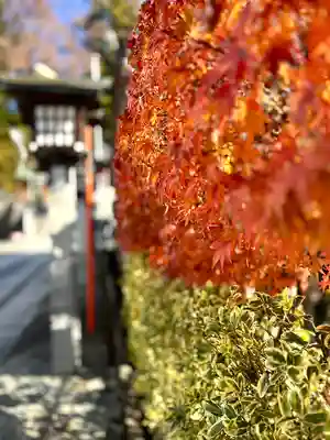 冨士山稲荷神社(長野県)
