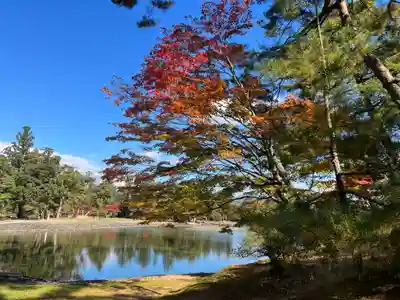 毛越寺(岩手県)