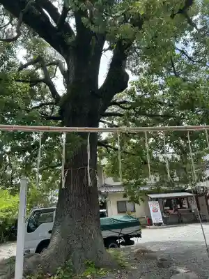 呉服神社(大阪府)