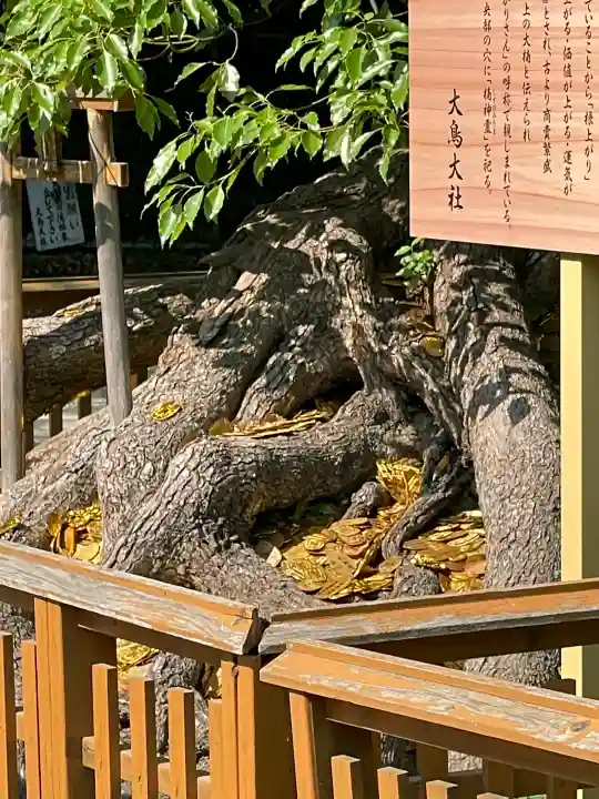 和泉國一之宮 大鳥大社の{uncategorized: "未分類", other: "その他", undefined: "問題あり", building: "その他建物", grave: "お墓", sacred_gate: "鳥居", guardian: "狛犬", statue: "像", buddha: "仏像", history: "歴史", nature: "自然", garden: "庭園", animal: "動物", pagoda: "塔", temizu: "手水舎", mountain_gate: "山門・神門", sanctuary: "本殿・本堂", subordinate: "末社・摂社", art: "芸術", scenery: "景色", jizo: "地蔵", ema: "絵馬", goshuin: "御朱印", omikuji: "おみくじ", items: "授与品その他", amulet: "お守り", goshuincho: "御朱印帳", eats: "食事", festival: "お祭り", votive_dance: "神楽", shichigosan: "七五三参", wedding: "結婚式", experience: "体験その他", initially: "初詣", around: "周辺", anti_infection: "感染症対策"}