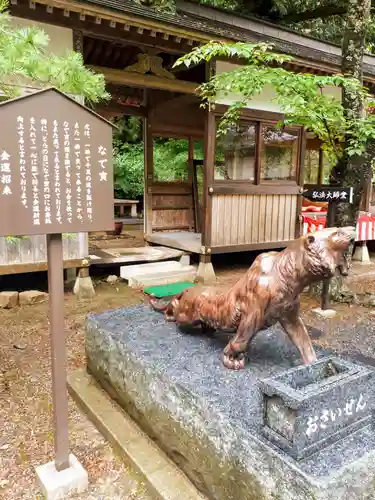 柳津虚空蔵尊 寳性院の狛犬