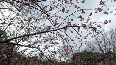 熊野若王子神社(京都府)