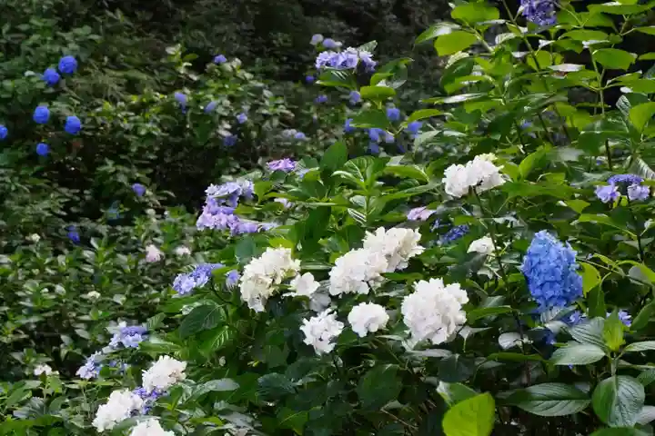 杉山谷不動尊(京都府)