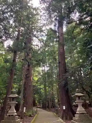 若狭彦神社（上社）(福井県)