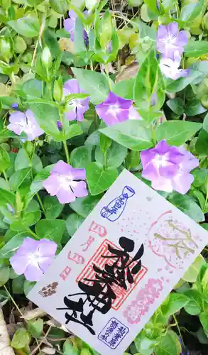 秋葉神社の御朱印